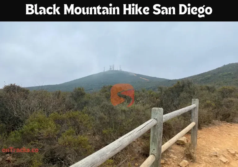 Black Mountain Hike San Diego