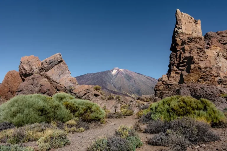 Hiking in Tenerife