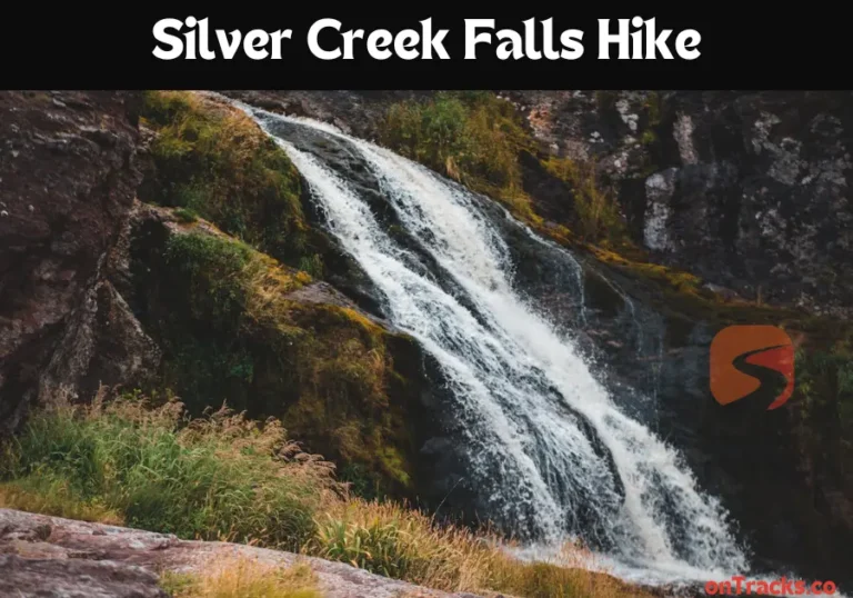 Silver Creek Falls Hike