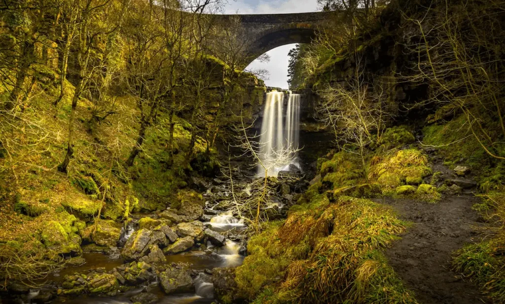 Silver Creek Falls Hike